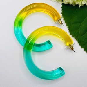 Ombre resin hoop earrings